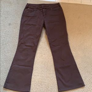 Pure Color Brown Boot Cut Jeans